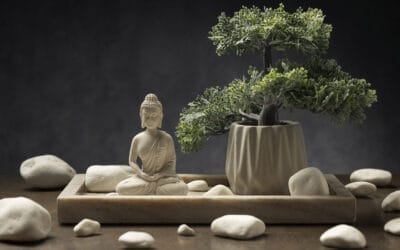 ¿Qué implica activar tu Feng Shui japonés personal?