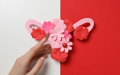 Terapia Menstrual: Integrando el Ciclo Femenino en la Consulta Holística
