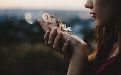 Rituales Diarios Inspirados en el Feng Shui Japonés para el Bienestar Integral